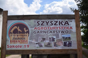 Agroturystyka SZYSZKA